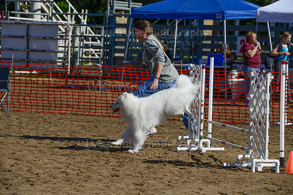 AGILITY-2156