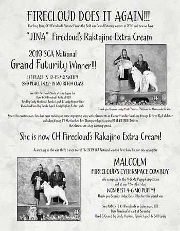 JINA MALCOLM 2019 - TAMI LYNCH