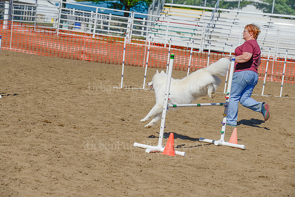 AGILITY-2322