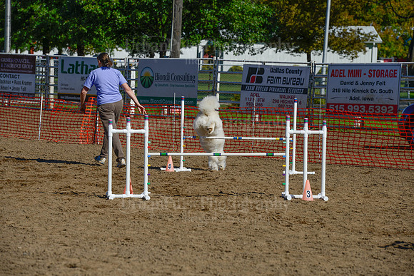 AGILITY-2102
