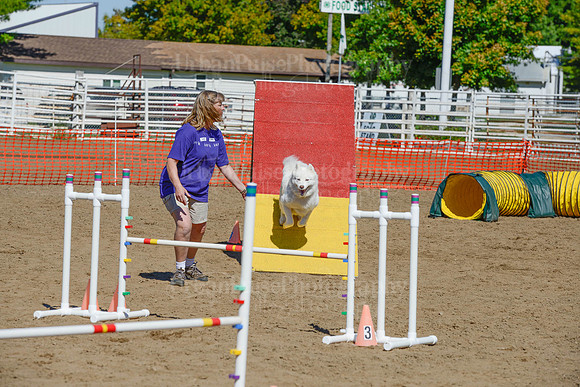 AGILITY-2297