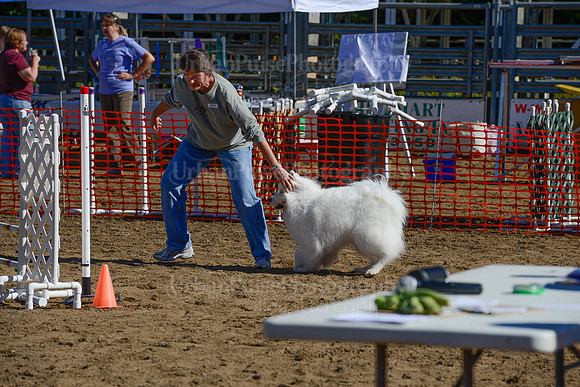 AGILITY-2155