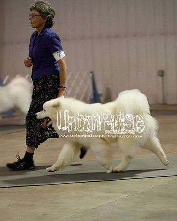 Fargo_2011-3593