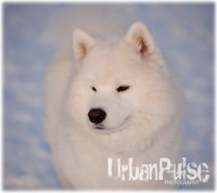MaunaKea_5091