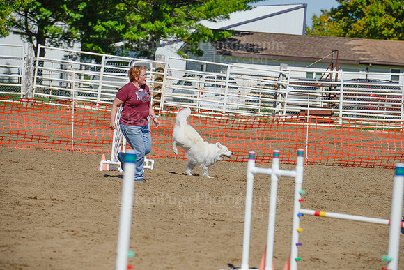 AGILITY-2328