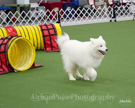 AGILITY_9514
