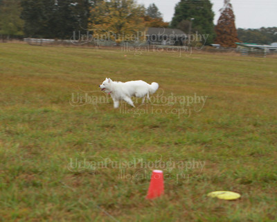 SCA2016_LURE COURSING-7802