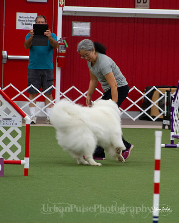 AGILITY_9430