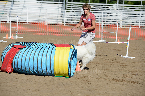AGILITY-1975