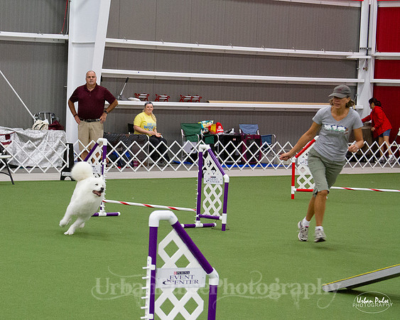 AGILITY_9452