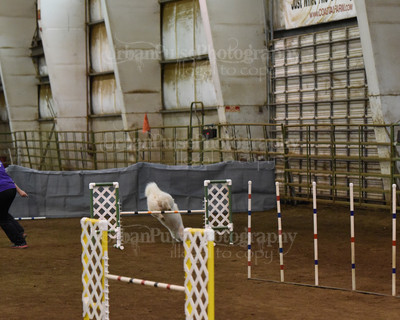 SCA2016_AG MON FAST NOVICE-0117