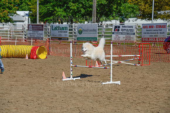 AGILITY-2233