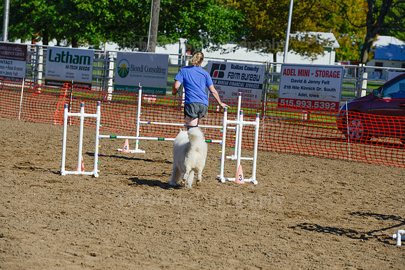 AGILITY-2018