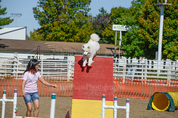 AGILITY-2263