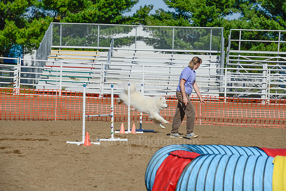 AGILITY-2108