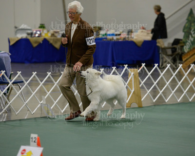 2016 RALLY #2102-5566