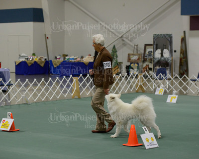 2016 RALLY #2102-5565
