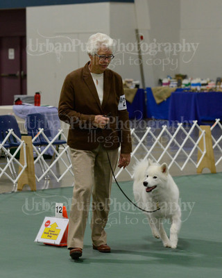 2016 RALLY #2102-5564