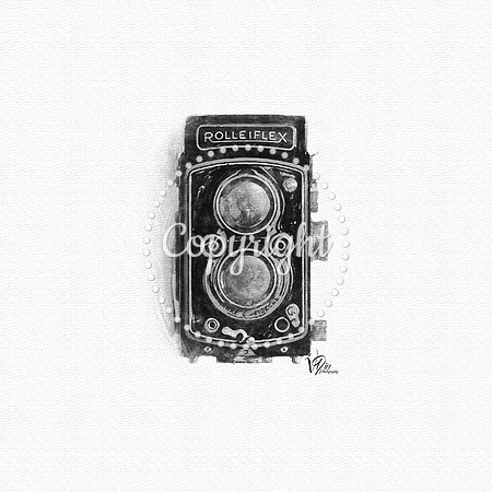 CAMERA 3