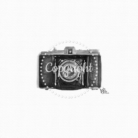CAMERA 7