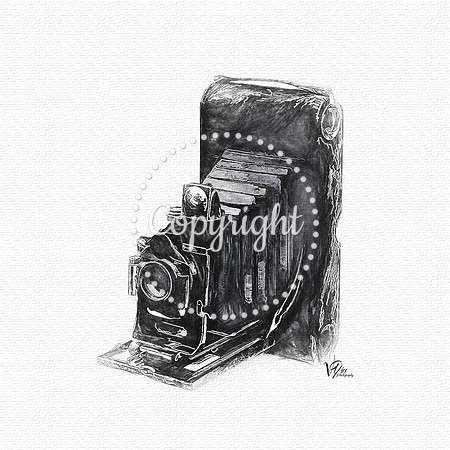 CAMERA 8