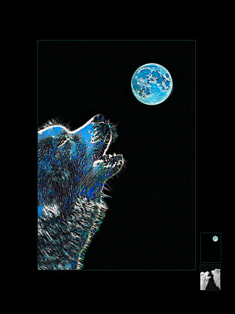 Call of the Night