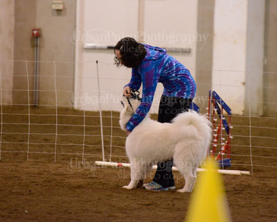 SCA2016_AG MON FAST NOVICE-3555