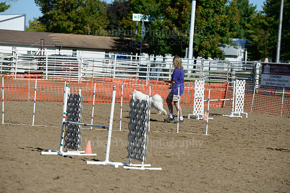 AGILITY-1895