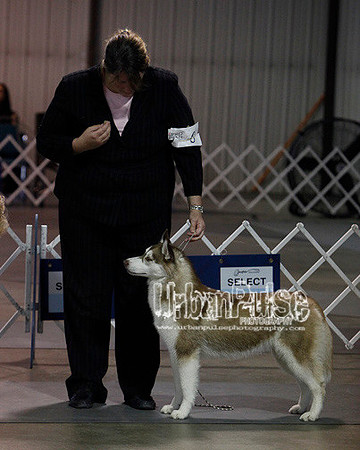 Fargo_2011-4140