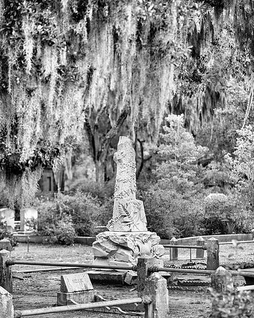 Savannah_9861