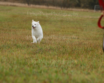 SCA2016_LURE COURSING-7723