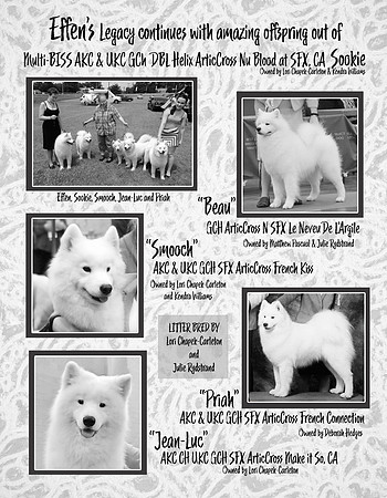 5 - EFFEN X SOOKIE LITTER PAGE 2020