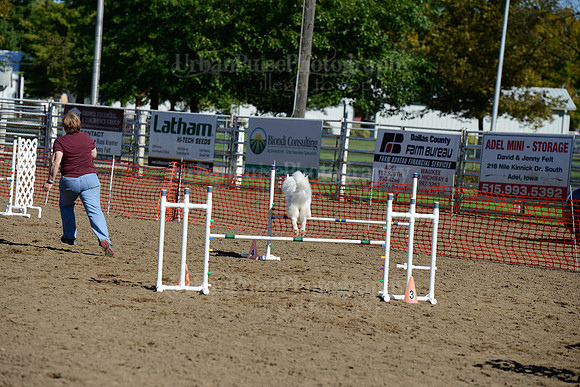 AGILITY-1994