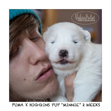 MINNIE_2WEEKS_3457