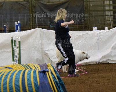 SCA2016_AG MON FAST NOVICE-0126