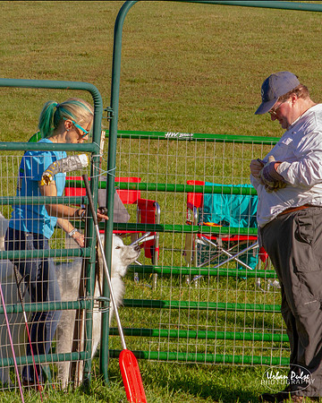 SCA2019_HERDING-0660_80