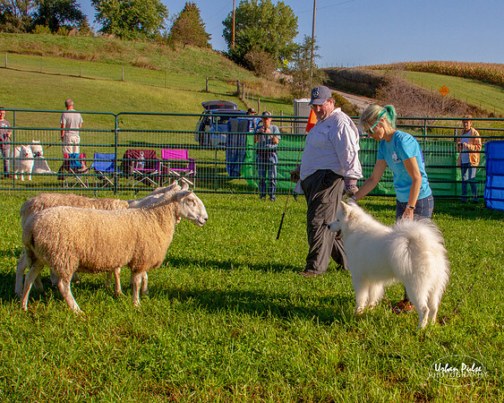 SCA2019_HERDING-0668_100