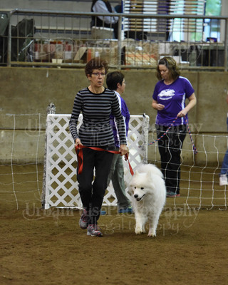 SCA2016_AG MON FAST NOVICE-0101