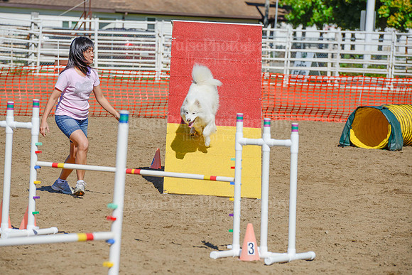 AGILITY-2253