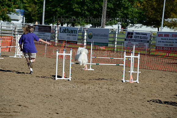 AGILITY-1892