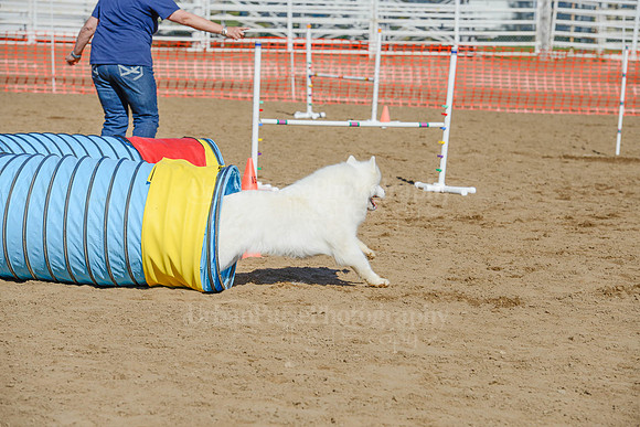 AGILITY-2062