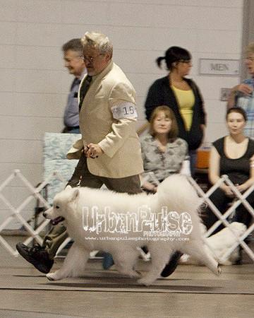 Fargo_2011-4056