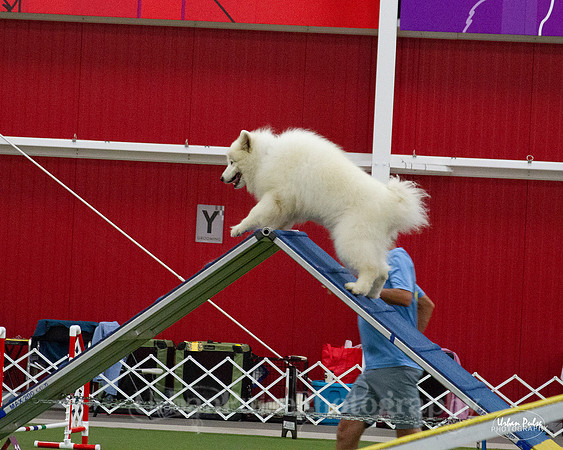 AGILITY_9504