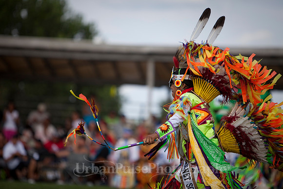 Wacipi_2011-2389