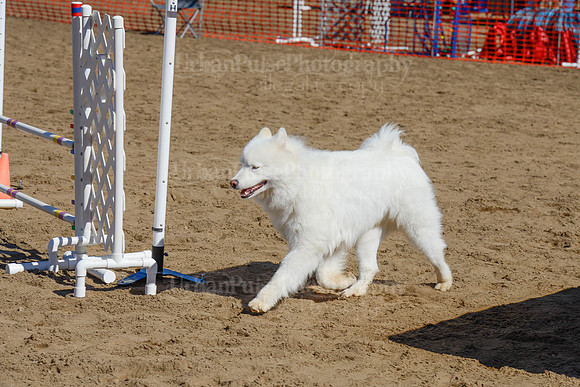 AGILITY-2272