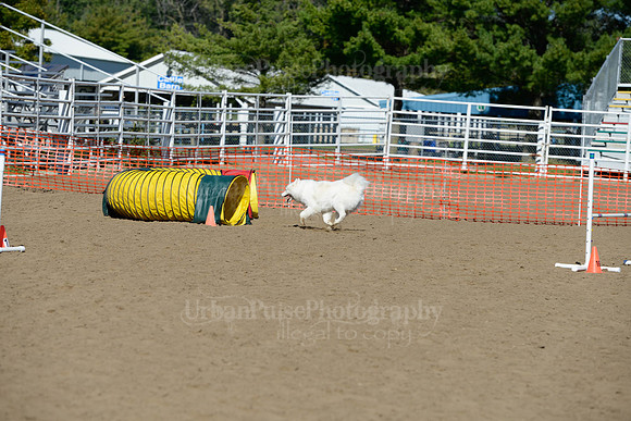 AGILITY-1902