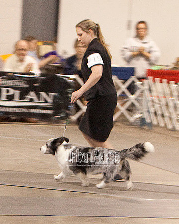 Fargo_2011-3995