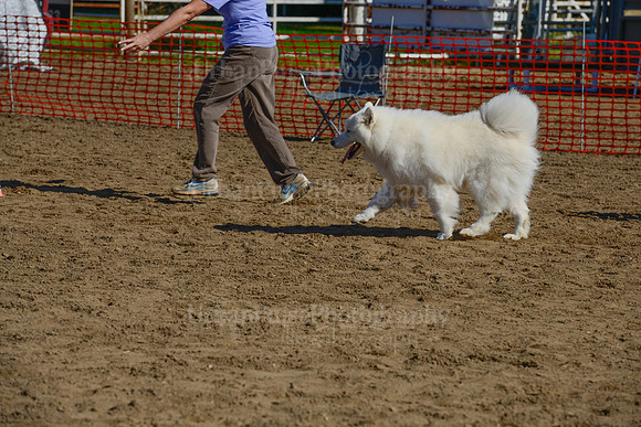 AGILITY-2098
