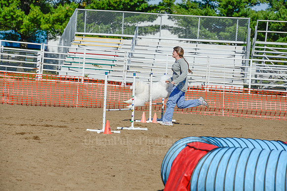 AGILITY-2164
