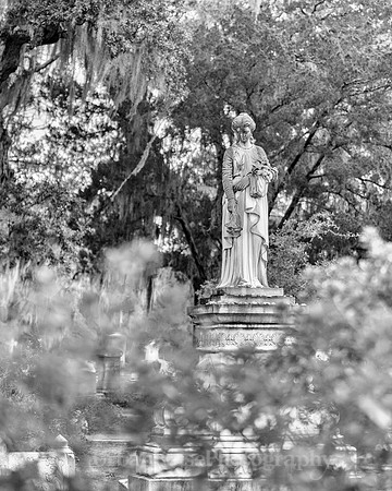 Savannah_9842